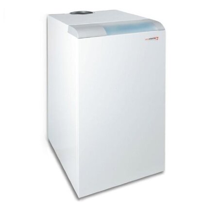 Напольный газовый котёл с чугунным теплообменником PROTHERM Медведь 50 ТLO